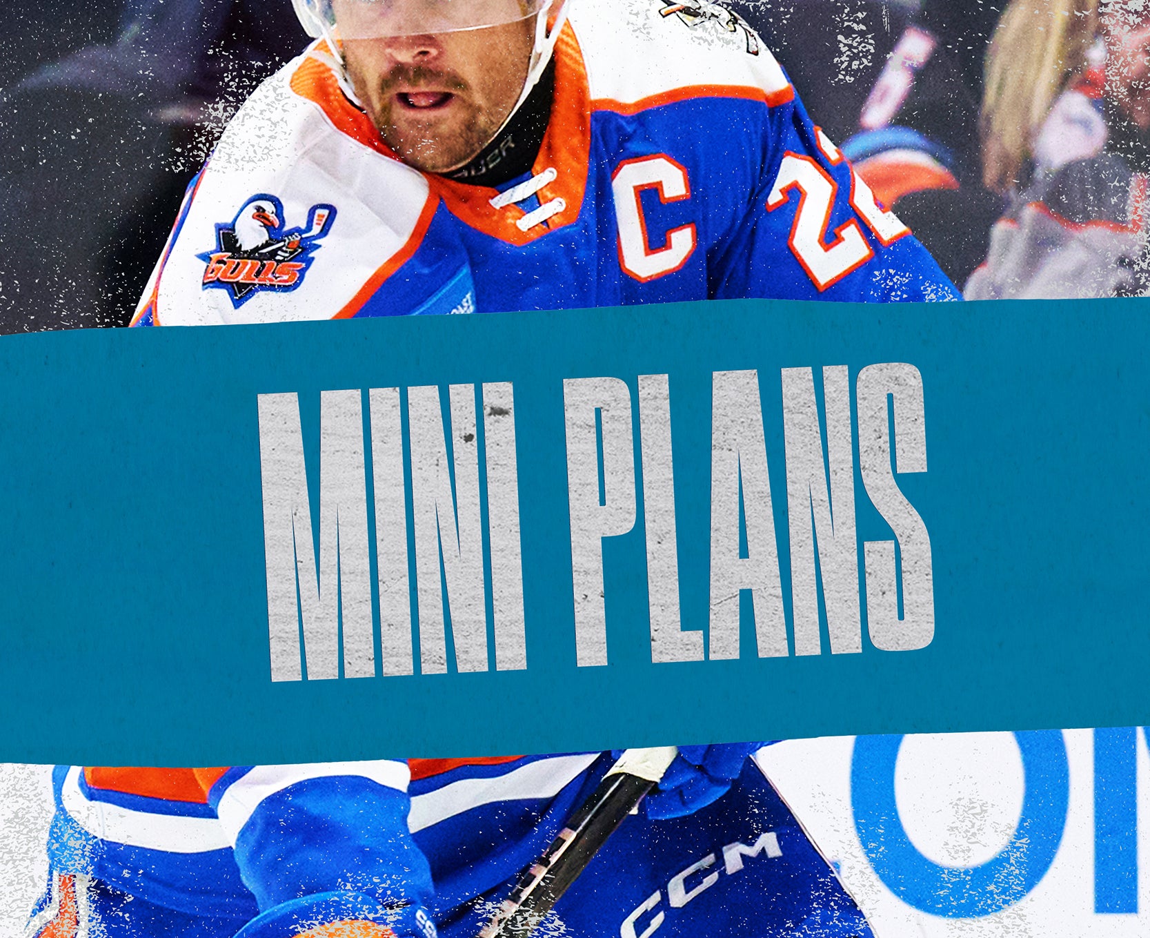 MiniPlans_WebsiteBanner_400x326 (1).jpg