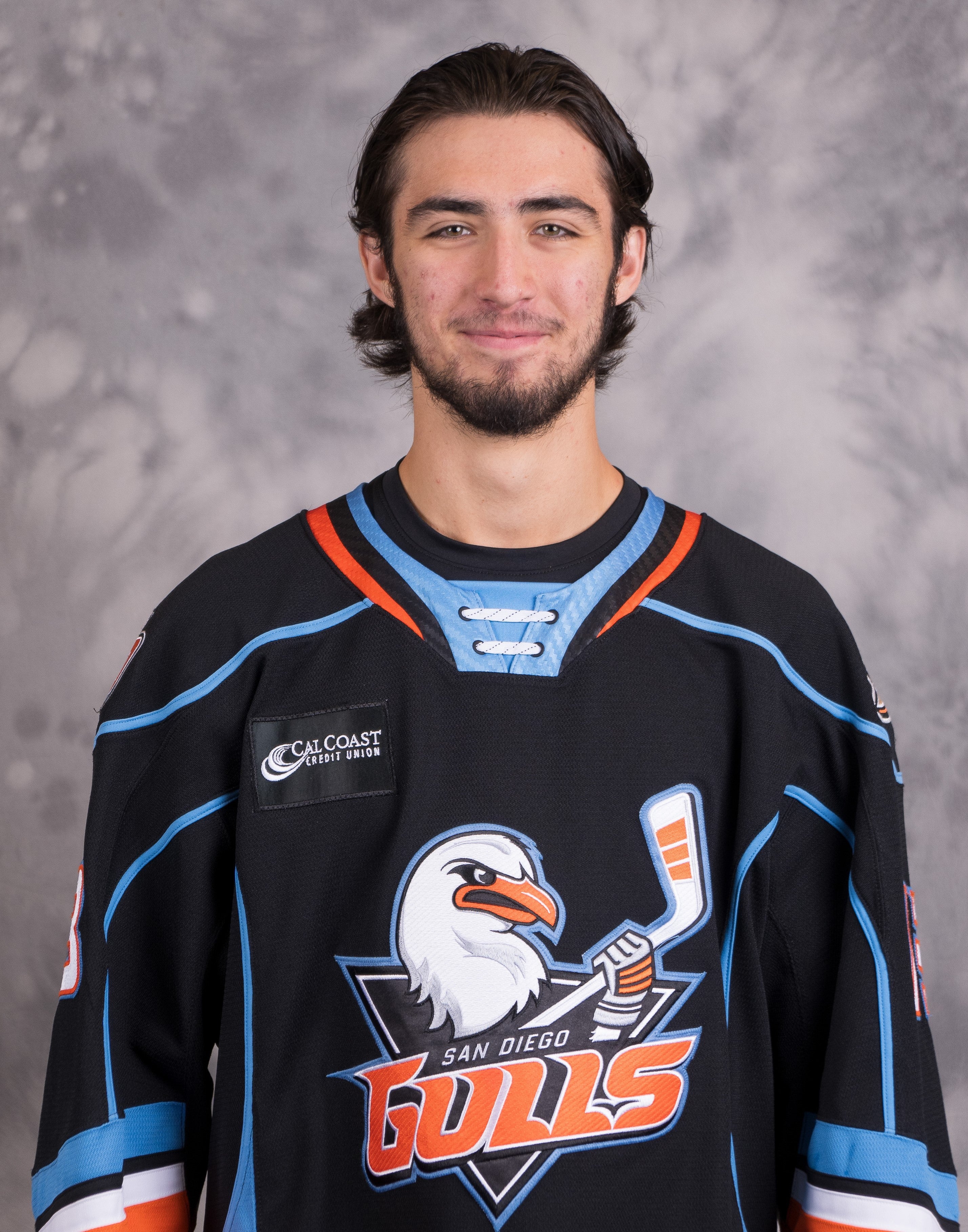 San Diego Gulls (@SDGullsAHL) / X