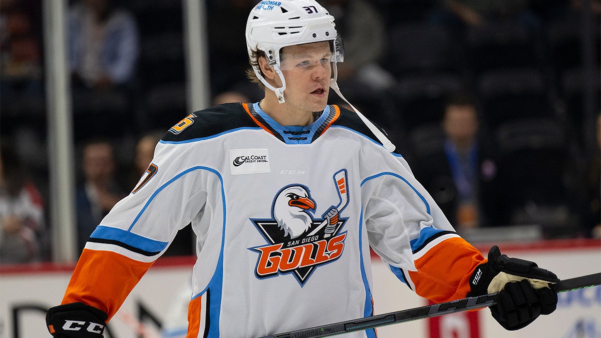 San Diego Gulls Release Andrew Nielsen From Professional Tryout San Diego Gulls