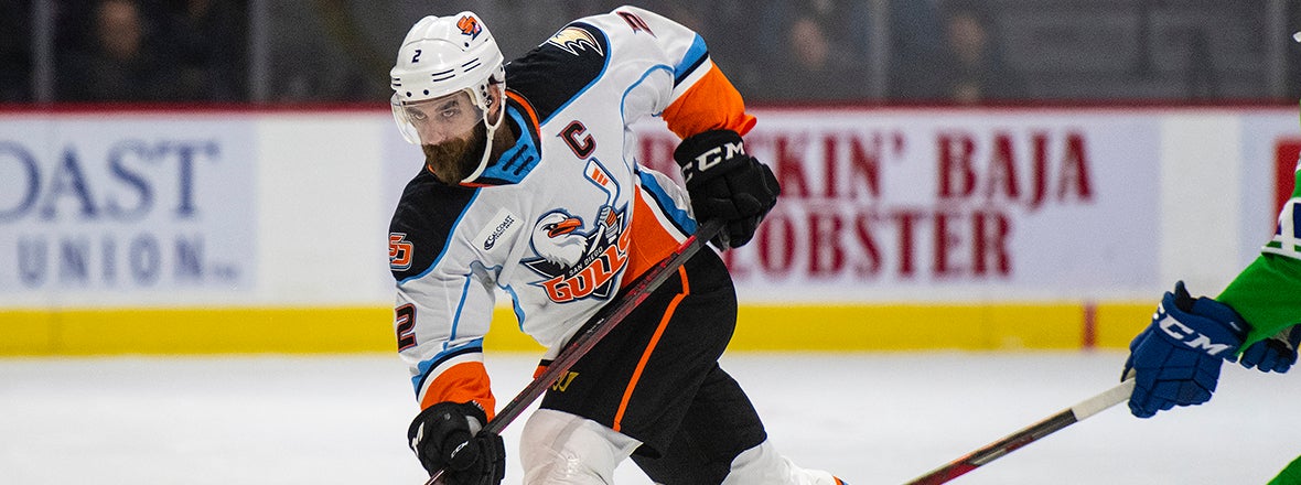 Ducks Recall Pateryn From Gulls