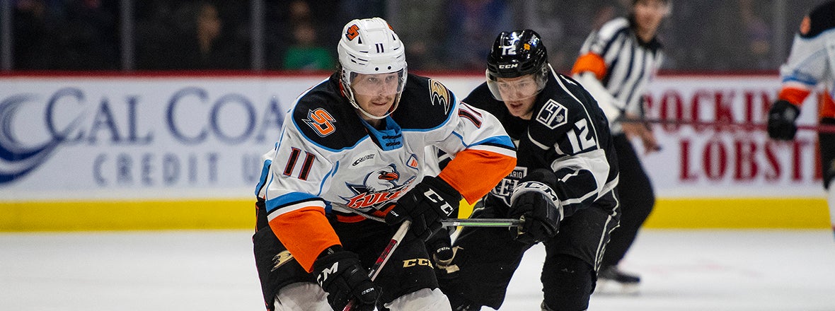 Gulls, Reign Game Postponed