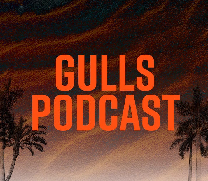 San Diego Gulls on X: The merch this season is 🔥   / X