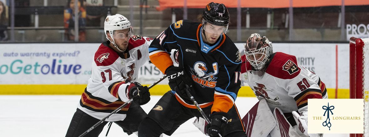 LIVE: Gulls Downed By Roadrunners 9-2