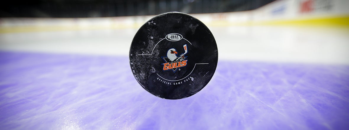 Ducks Assign 15 Players To Gulls