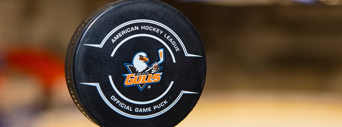 San Diego Gulls Gifts & Merchandise for Sale