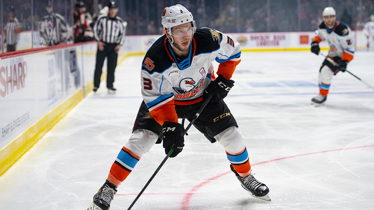 Anaheim Ducks Announce Additional Roster Moves