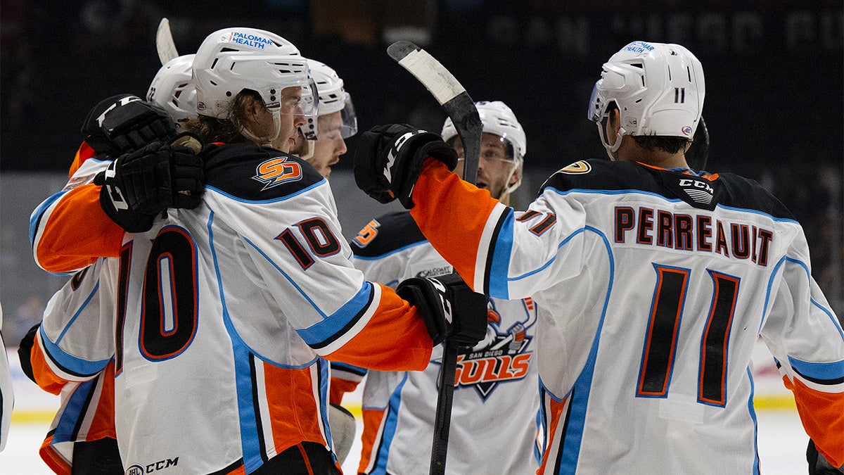 Gulls host first Mexican Heritage Night as hockey expands its