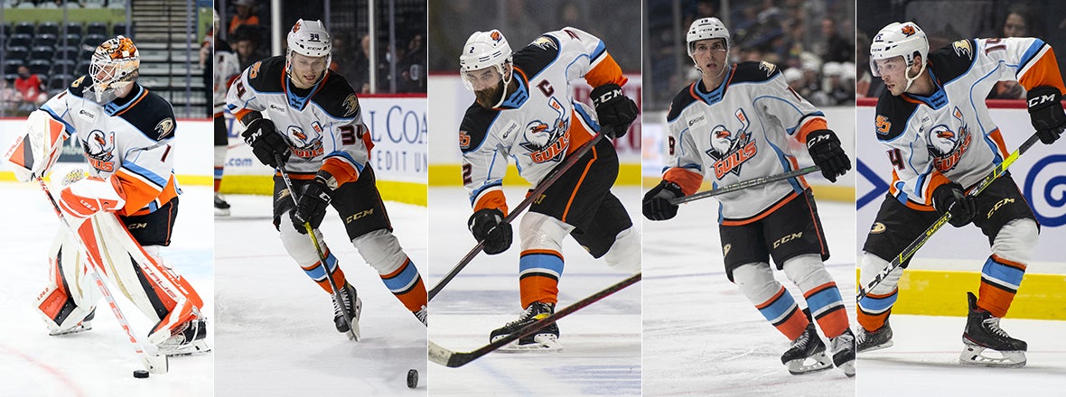 Ducks, Gulls Announce Roster Moves