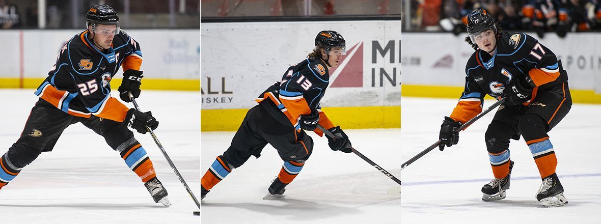 Ducks Reassign Carrick, Zegras And Drysdale