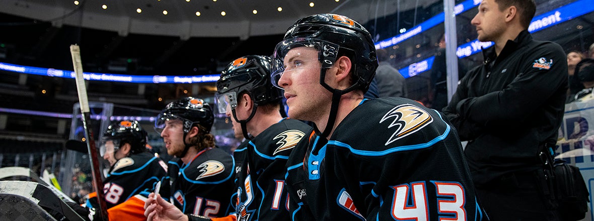 San Diego Gulls Announce 2021-22 Season-Opening Roster | San Diego Gulls