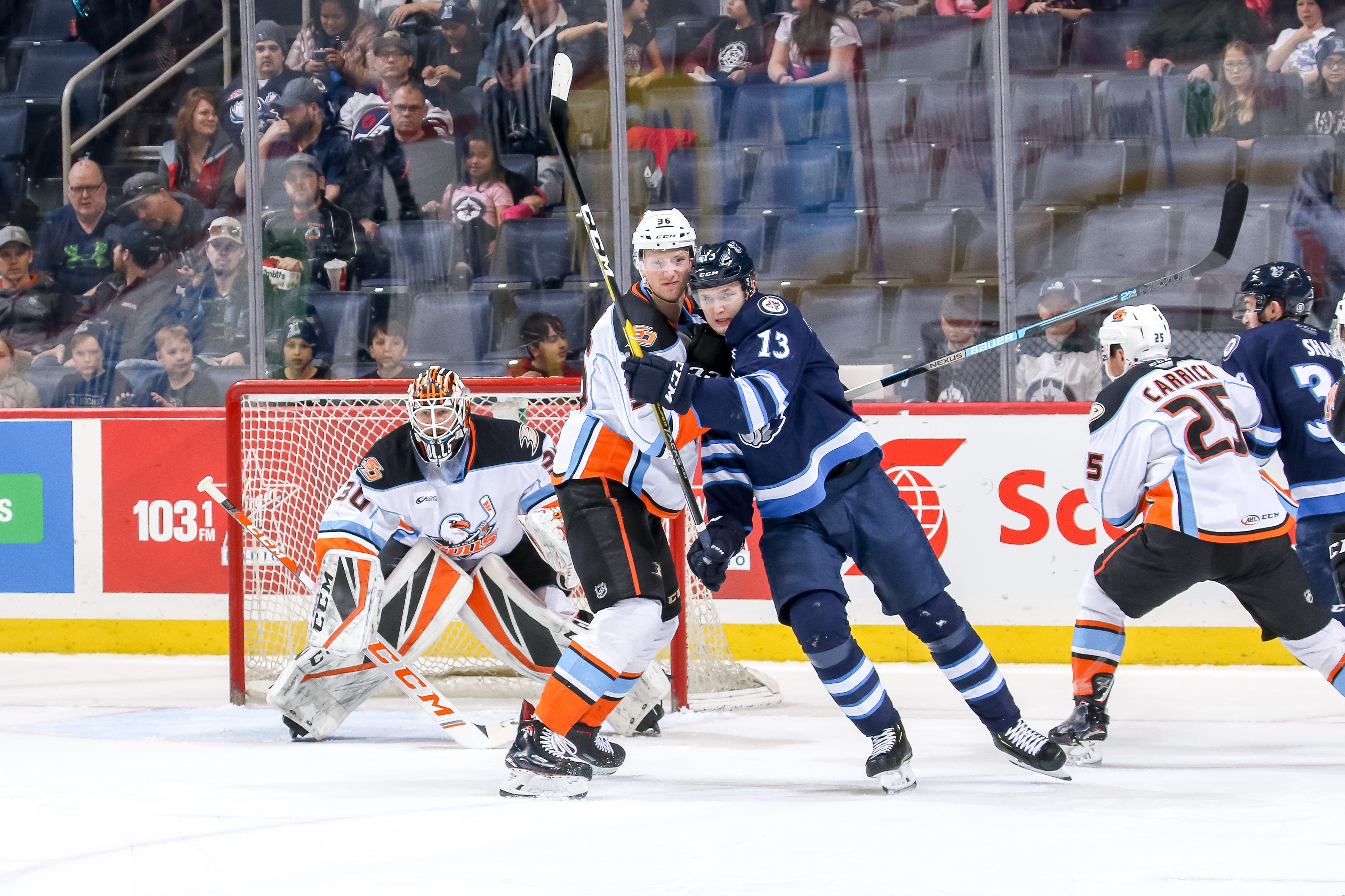 San Diego Gulls vs Manitoba Moose_40458349803_o.jpg