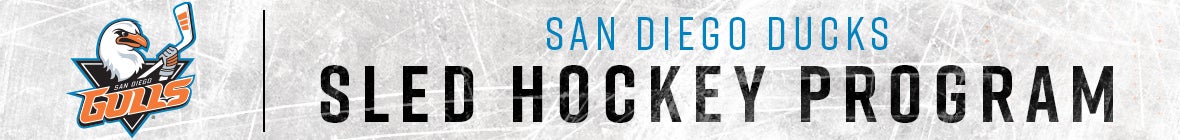 Sled Hockey - Web Banner.jpg