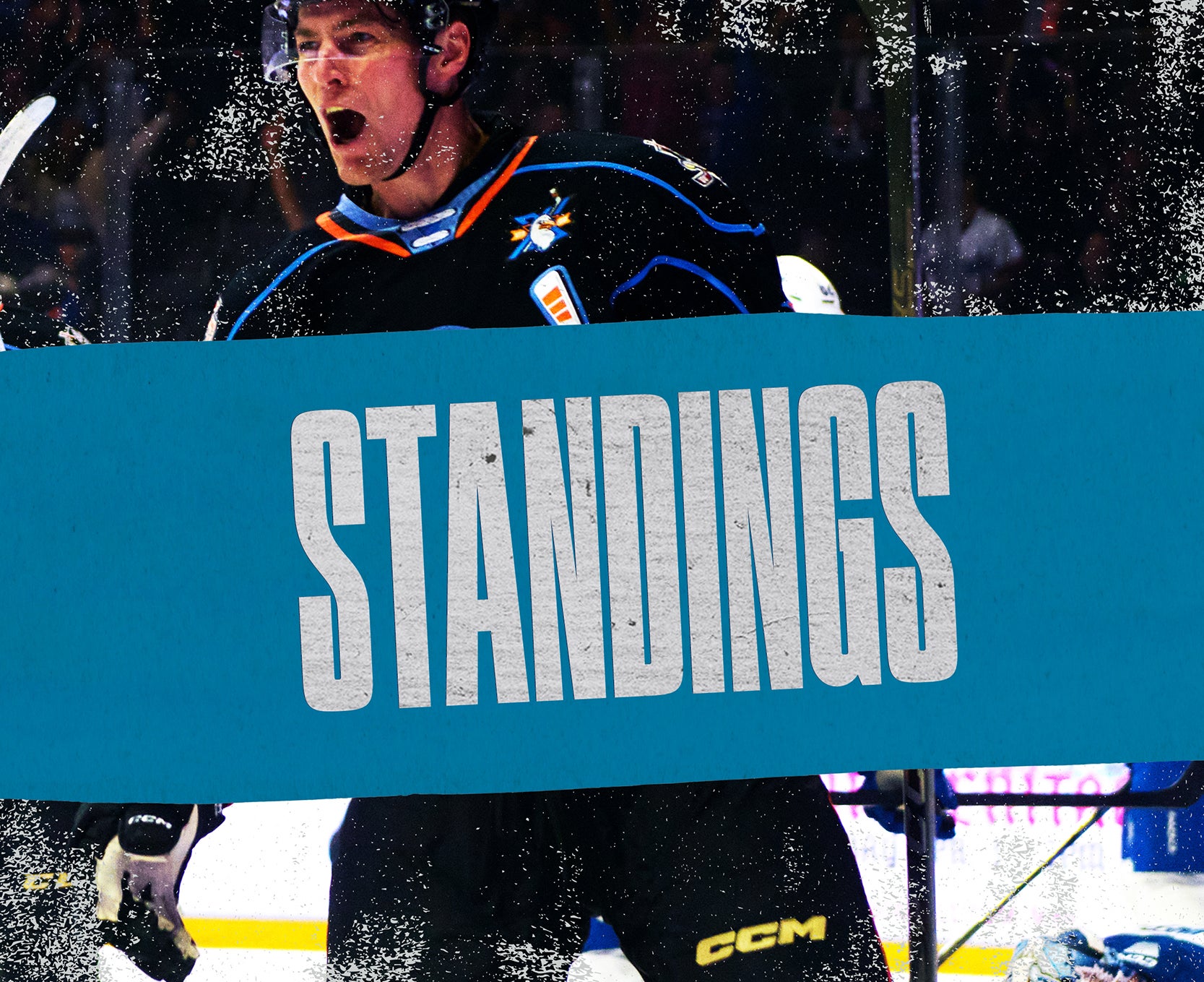 Standings_WebsiteBanner_400x326 (1).jpg
