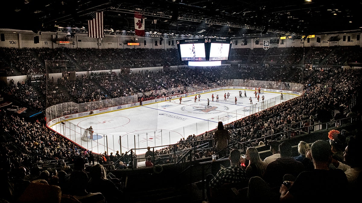 News  San Diego Gulls