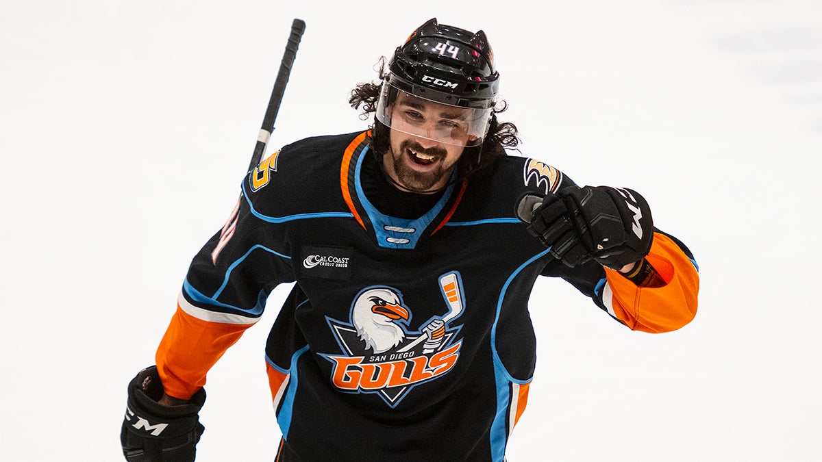 Anaheim Ducks defenseman Trevor Carrick (47) has his helmet rocked