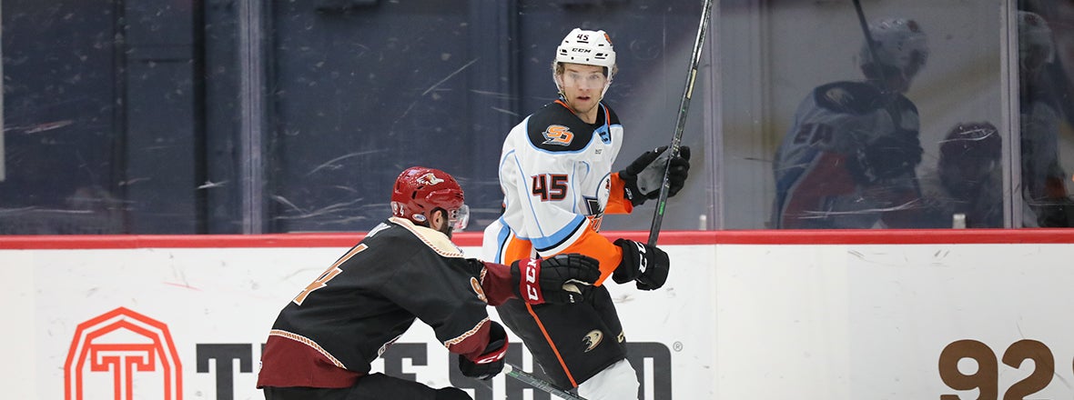 Gulls, Roadrunners Weekend Series Postponed