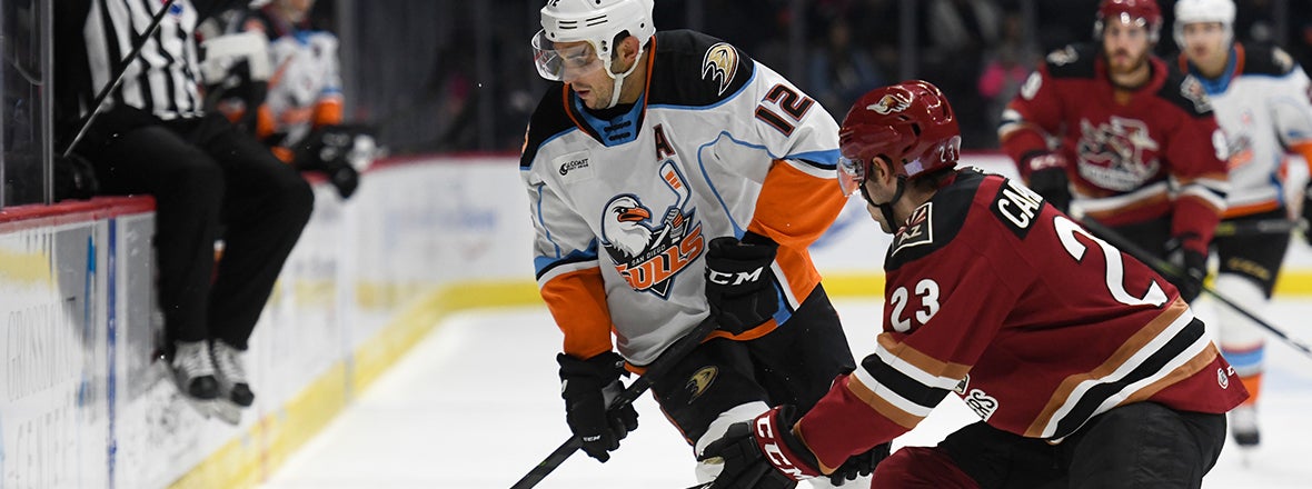 PREVIEW: Gulls vs. Roadrunners