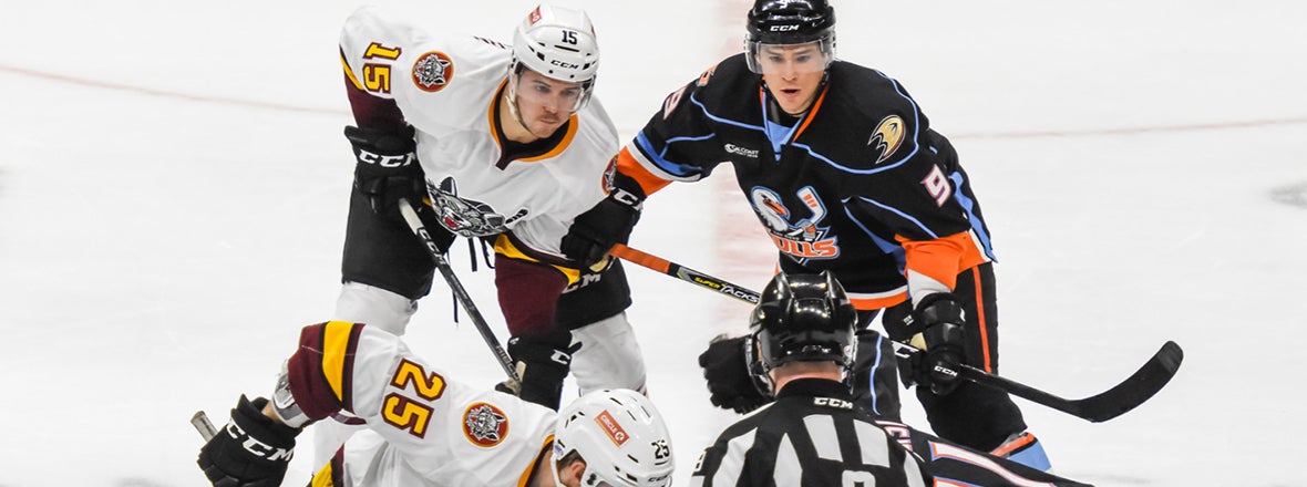 Game 1 Preview: Gulls vs. Wolves
