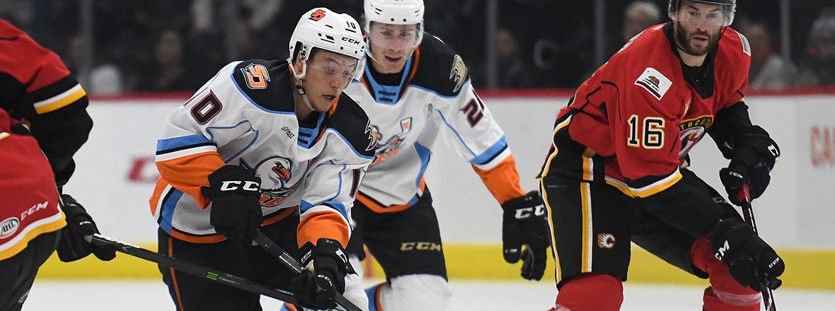 PREVIEW: Gulls at Heat