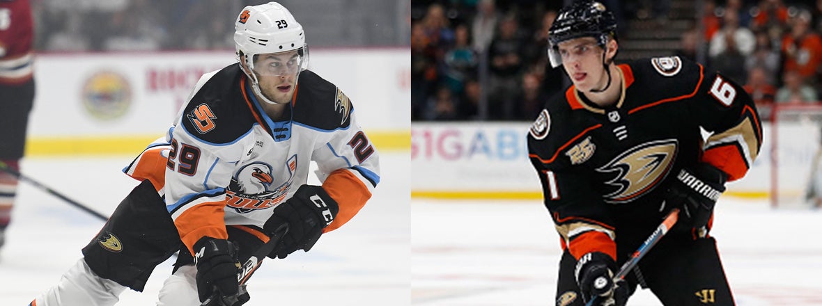 Ducks Recall Aberg, Reassign Terry to Gulls