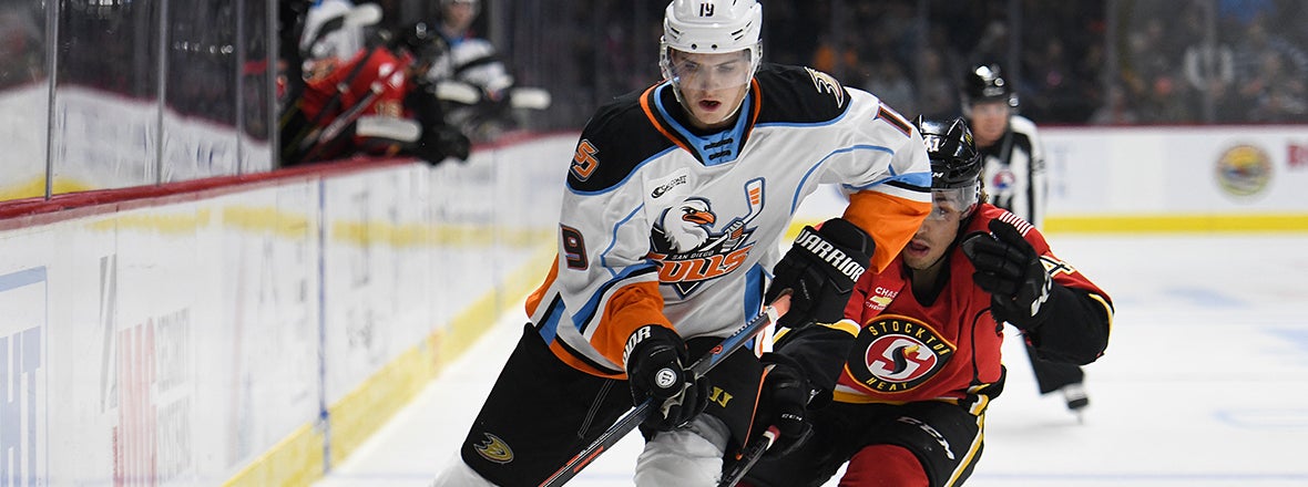 PREVIEW: Gulls at Heat