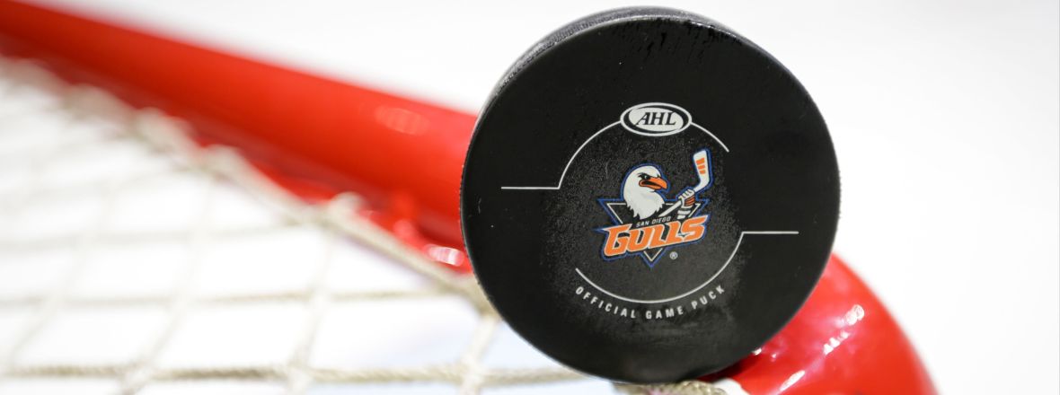 Gulls Sign Pollock, Thomas to Professional Tryouts