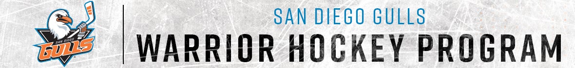 Warrior Hockey - Web Banner.jpg