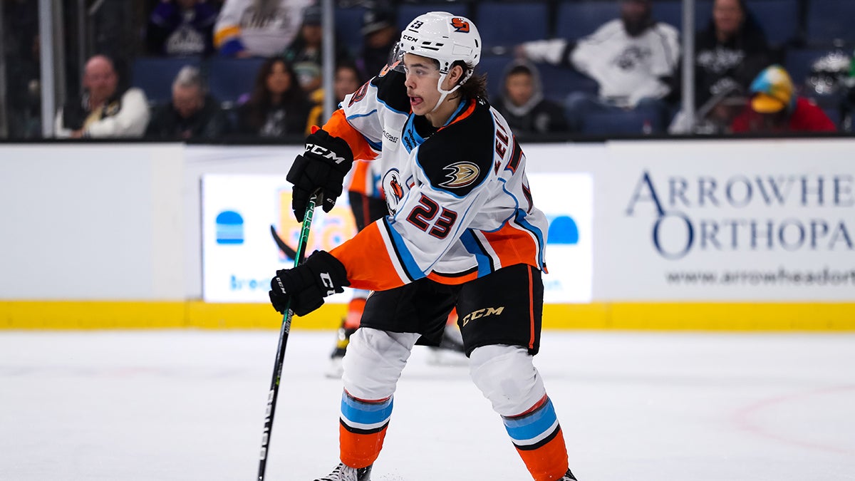 Important Offseason Lies Ahead for San Diego Gulls, Anaheim Ducks