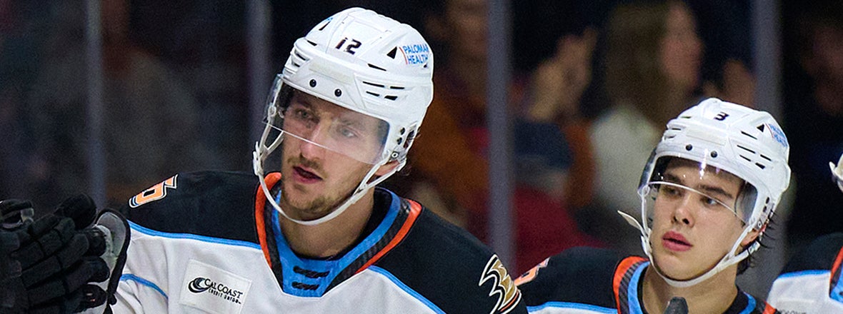 Gulls Flock to the World Championships