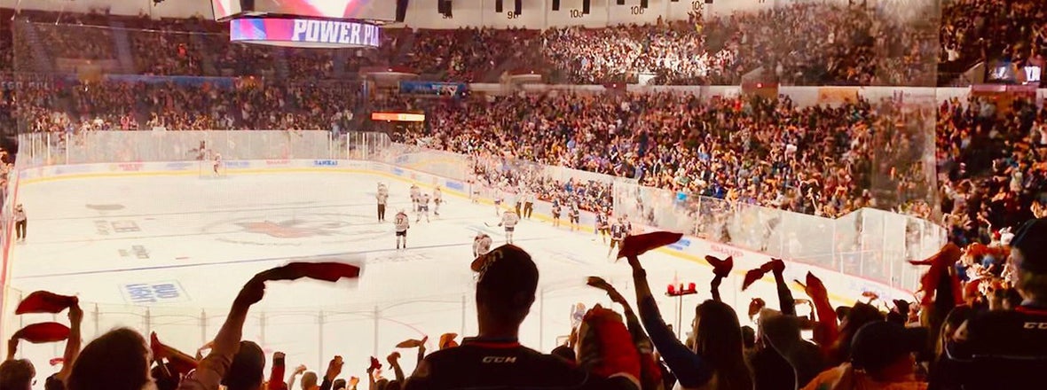 Gulls Fans Making Noise in the Playoffs