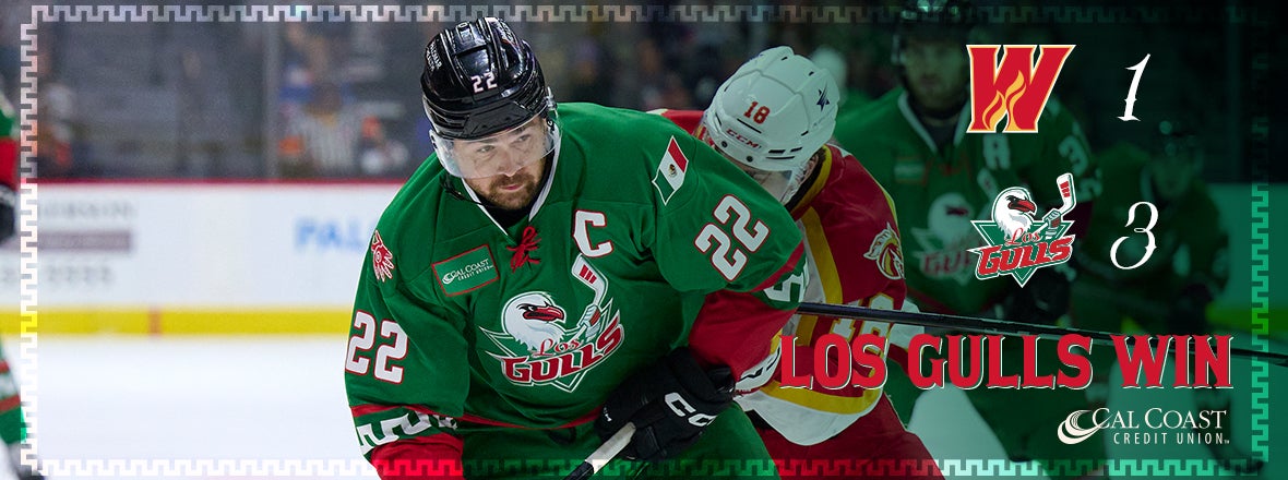 Vamos Gulls