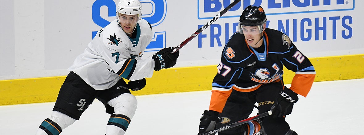 First Round Series Matchup: Gulls vs. Barracuda