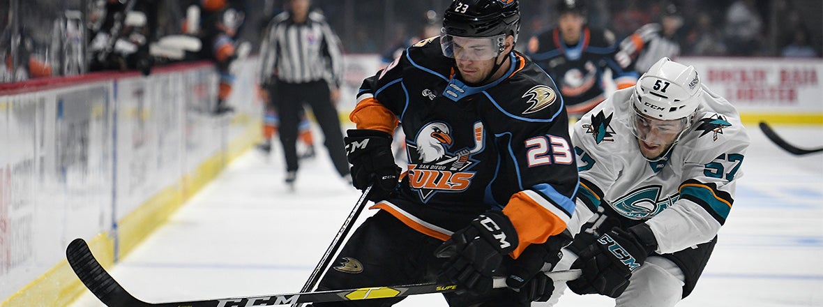 First Round Series Matchup: Gulls vs. Barracuda