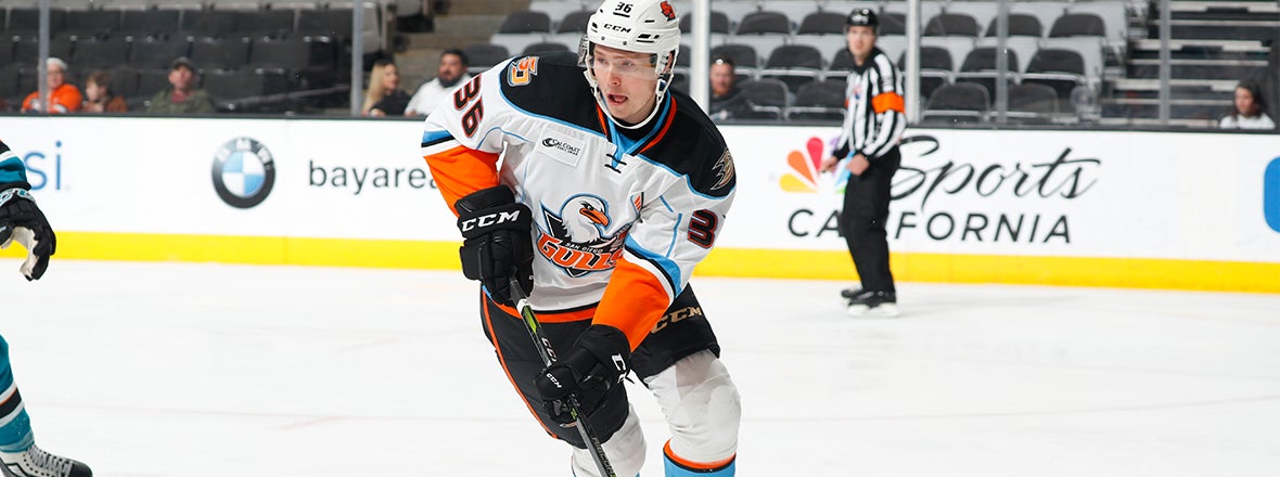 Gulls Recall Chris Forney