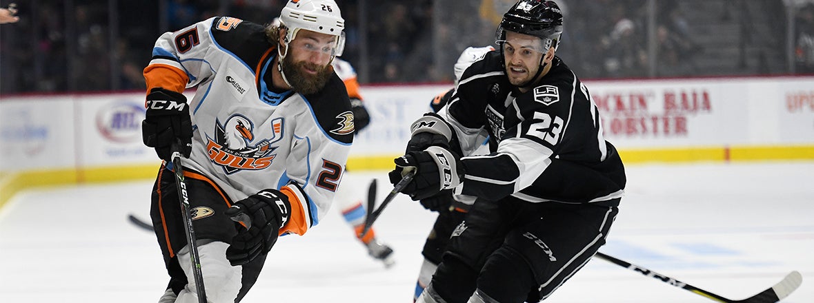 Preview: Gulls at Reign