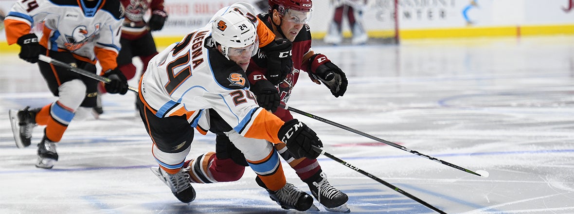 Final: Gulls 2, Roadrunners 5