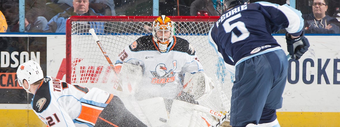 Final: Gulls 5, Admirals 2