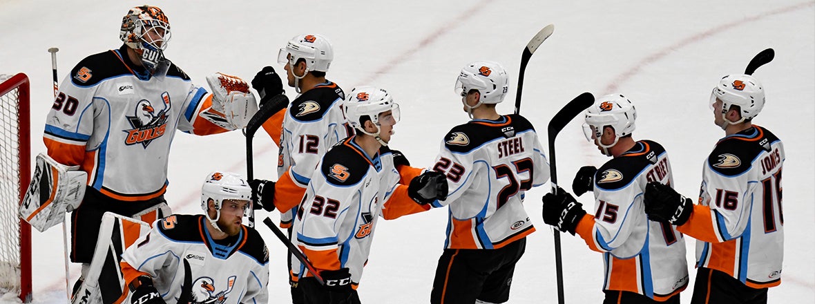 Final: Gulls 4, Roadrunners 3