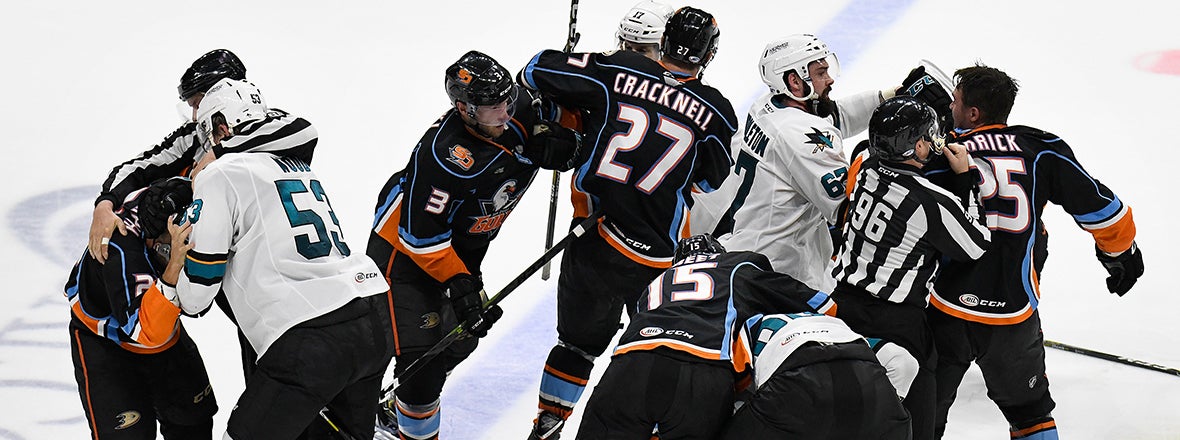 Barracuda Win 5-3 to Tie Knot Series at 1-1