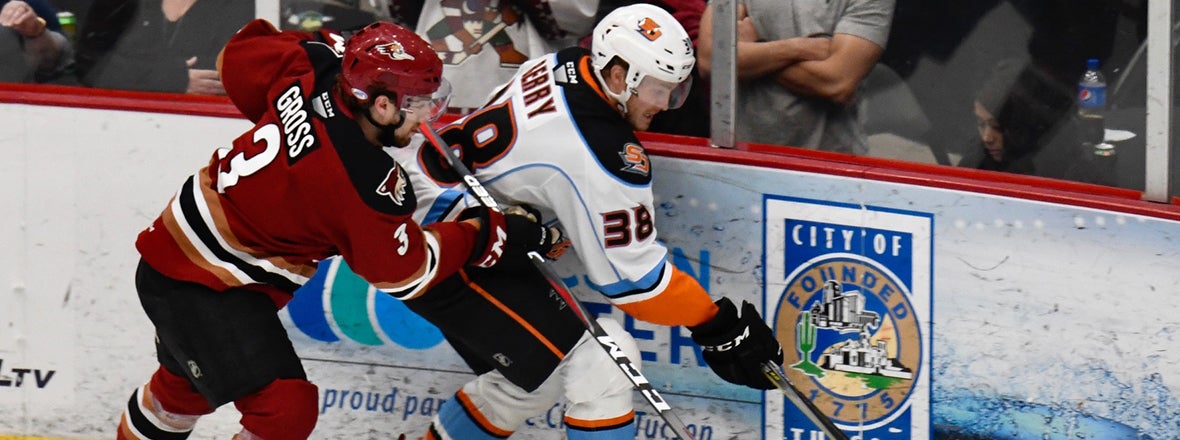 Final: Gulls 3, Roadrunners 4 OT