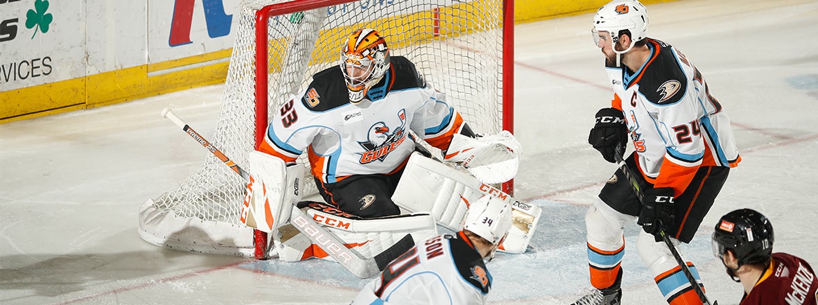 Boyle Shuts Out Wolves, Gulls Tie Series