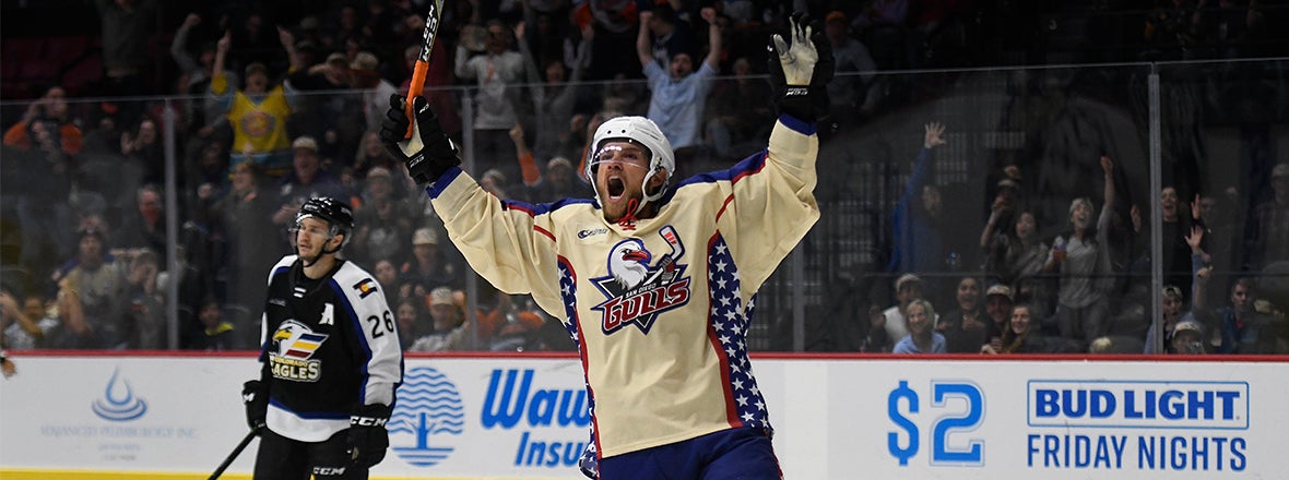 san diego gulls ahl jersey