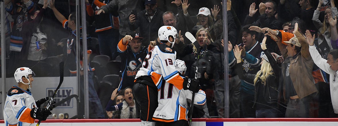 Final: Gulls 2, Moose 1