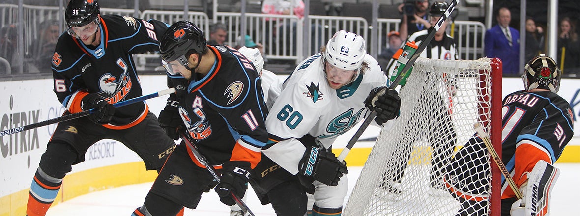 Final: Gulls 3, Barracuda 5