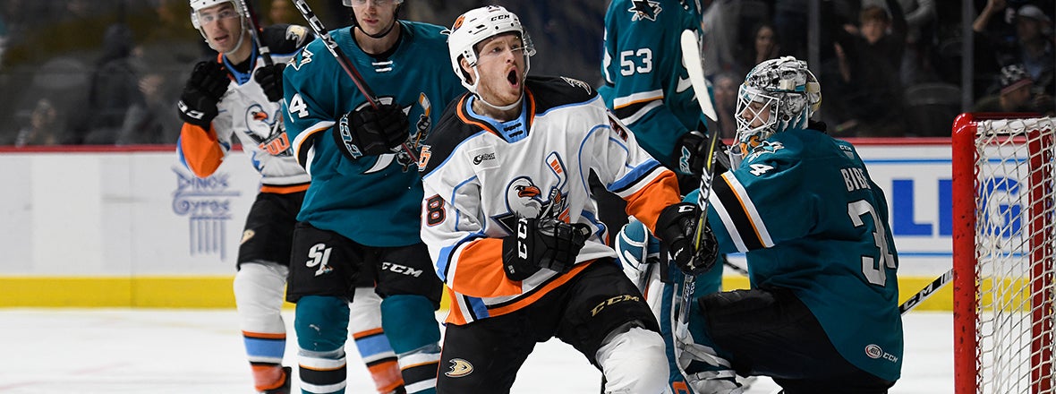 Final: Gulls 6, Barracuda 1