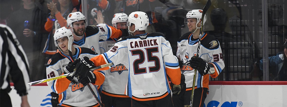 Terry Leads Gulls to 4-2 Win Over Admirals