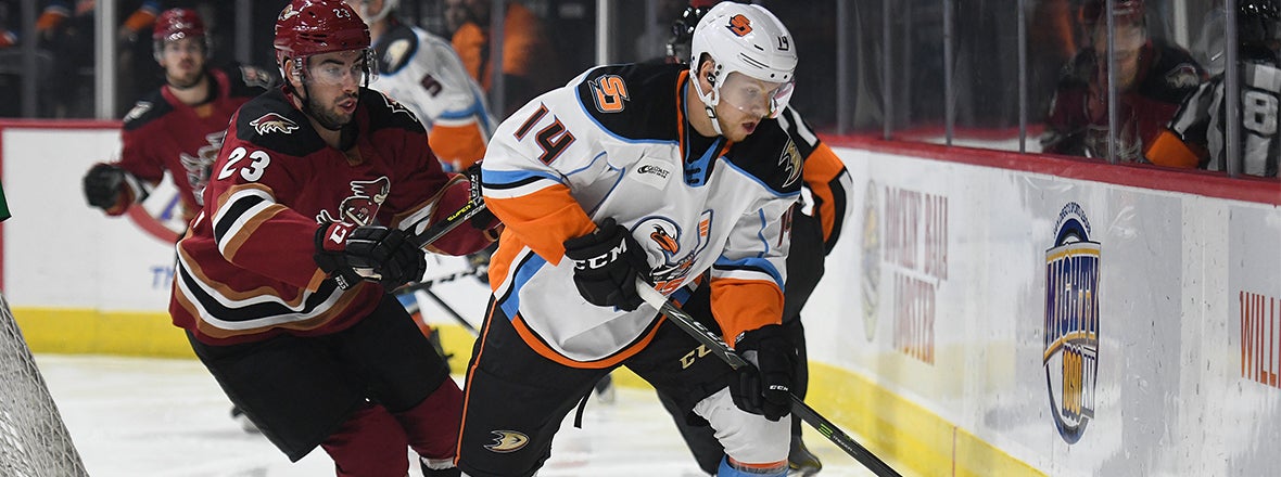 Gulls Extend Point Streak, Fall to Tucson in OT