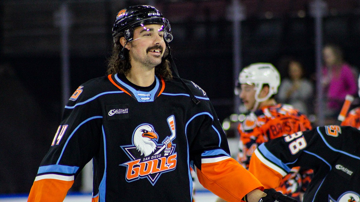 San Diego Gulls Report