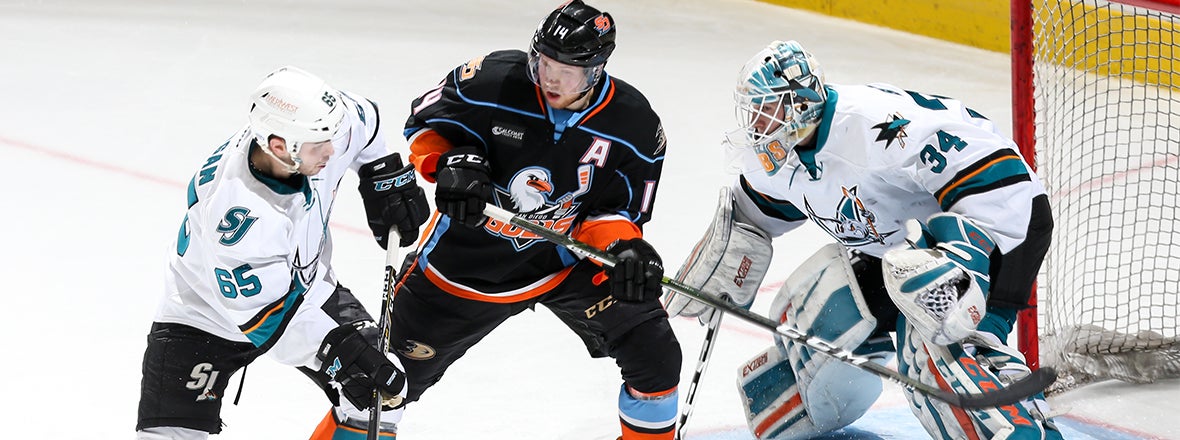 PREVIEW: Gulls at Barracuda