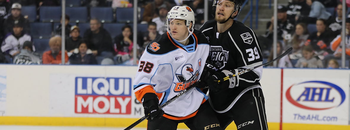 PREVIEW: Gulls at Reign